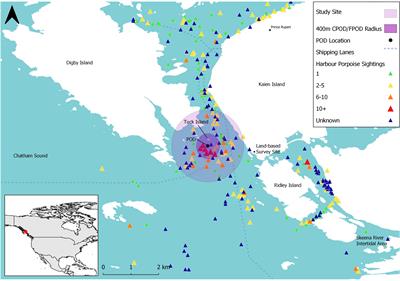 Porpoises after dark: Seasonal and diel patterns in Pacific harbour porpoise (Phocoena phocoena vomerina) aggregations at one of North America’s fastest growing ports